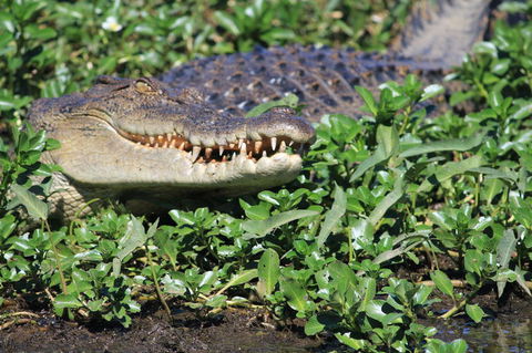 3-Day Kakadu National Park And Waterfalls Tour From Darwin - Accommodation 4U 5