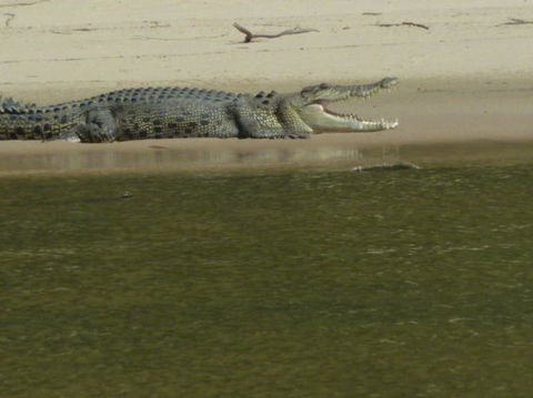3-Day Kakadu National Park And Waterfalls Tour From Darwin - Accommodation 4U 4