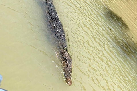Kakadu National Park Scenic Flight & Cruise - Accommodation 4U 11