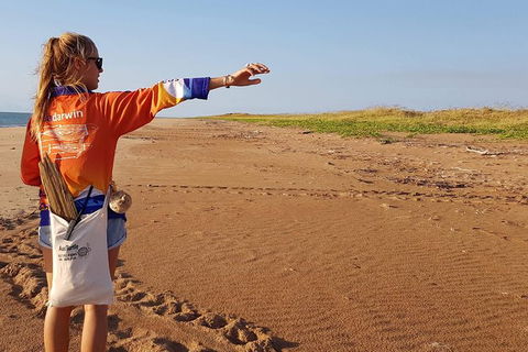 Turtle Tracks Tour To Bare Sand Island From Darwin - Accommodation 4U 7