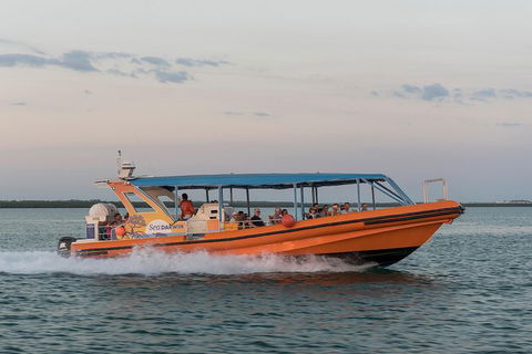 Turtle Tracks Tour To Bare Sand Island From Darwin - Accommodation 4U 5