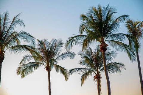 Darwin City Sightseeing Tour With Optional Sunset Cruise - Accommodation 4U 1