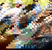 Tiwi Islands Cultural Experience from Darwin Including Ferry - Accommodation 4U