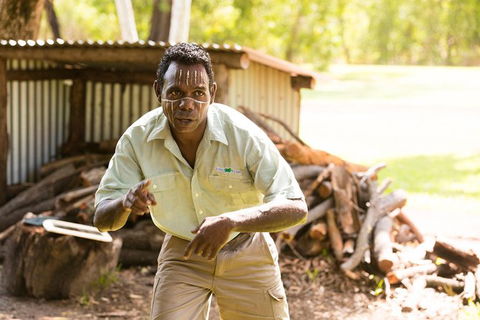 Tiwi Islands Cultural Experience From Darwin Including Ferry - Accommodation 4U 5