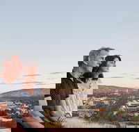 Alice Springs Highlights Half-Day Tour - Accommodation 4U