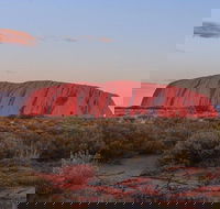 3-Day Uluru Camping Tour from Alice Springs Including Kata Tjuta and Kings Canyon - Accommodation 4U