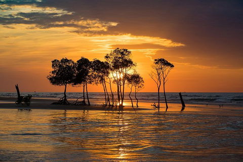 Darwin Self-Guided Audio Tour - Accommodation 4U 2