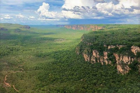 Kakadu & Katherine Gorge Full Day Air Tour, Helicopter & Cruise - Accommodation 4U 4