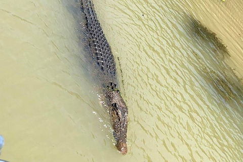 Kakadu & Katherine Gorge Full Day Air Tour, Helicopter & Cruise - Accommodation 4U 6