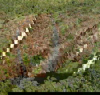 Litchfield Park Scenic Flight From Darwin - Accommodation 4U