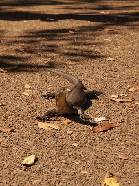 Katherine Day Tour From Darwin Including Katherine Gorge Cruise - Accommodation 4U 9