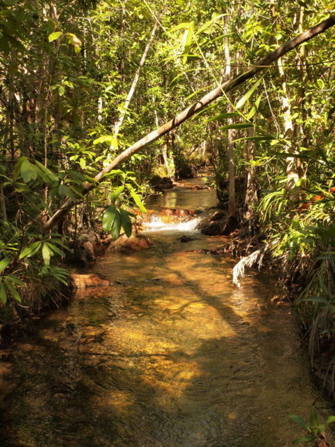Katherine Day Tour From Darwin Including Katherine Gorge Cruise - Accommodation 4U 10