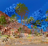 Palm Valley 4WD Tour from Alice Springs - Accommodation 4U