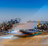 1 Hour Darwin Airboat Tours - Accommodation 4U
