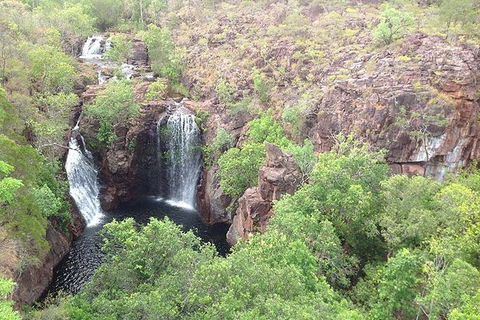 Litchfield National Park And Jumping Crocodile Cruise - Accommodation 4U 1