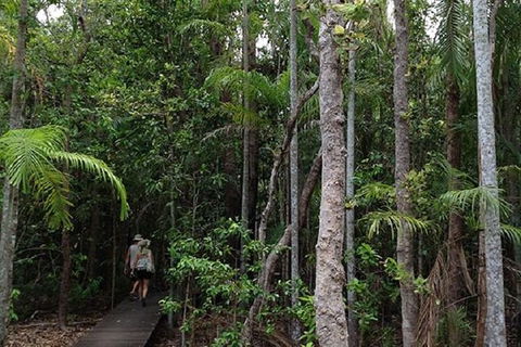 Litchfield National Park And Jumping Crocodile Cruise - Accommodation 4U 5