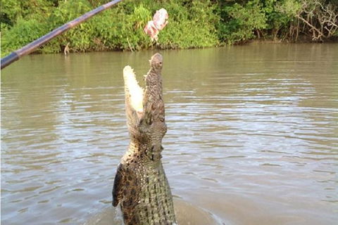 Litchfield National Park And Jumping Crocodile Cruise - Accommodation 4U 10