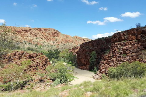East MacDonnell Ranges 1 Day 4WD Tour - Accommodation 4U 0