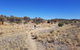 East MacDonnell Ranges 1 Day 4WD Tour - thumb 1