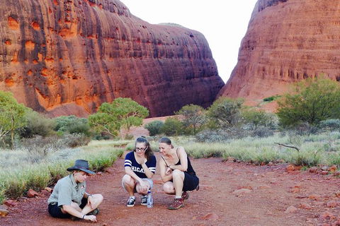 Afternoon Kata Tjuta Small Group Tour - Accommodation 4U 7