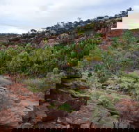 Palm Valley and Hermannsburg 1 Day 4WD Tour - Accommodation 4U
