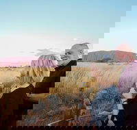 2-Day Uluru Ayers Rock and Kata Tjuta Trip from Alice Springs - Accommodation 4U