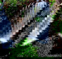 Litchfield Dreams 1 Day National Park Waterfall Swimming  Jumping Croc Cruise - Accommodation 4U