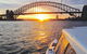 Sunset And Sparkle Sydney Harbour Cruise - thumb 0