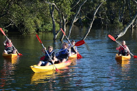Kayak And SUP Guided Tours - Accommodation 4U 0
