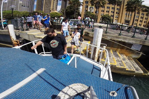 Sydney Harbour Private Tour - Accommodation 4U 4