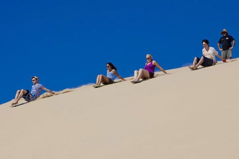 Port Stephens Day Tour From Sydney Including 4WD, Sandboarding And Dolphins - Accommodation 4U 1