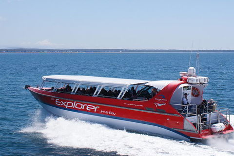 Whale Watching Jervis Bay - Accommodation 4U 1