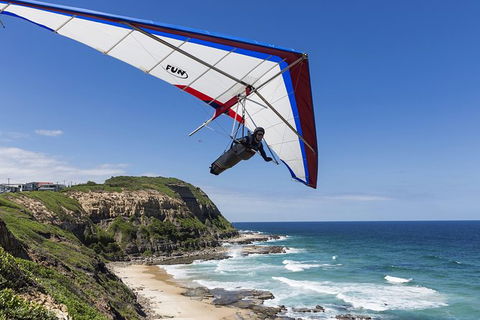 Newcastle And Central Coast Private Shore Excursion | Departs Newcastle Port - Accommodation 4U 5