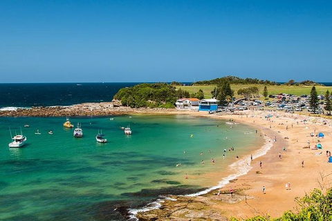 Newcastle And Central Coast Private Shore Excursion | Departs Newcastle Port - Accommodation 4U 8