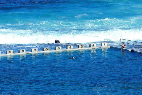 Newcastle And Central Coast Private Shore Excursion | Departs Newcastle Port - Accommodation 4U 4