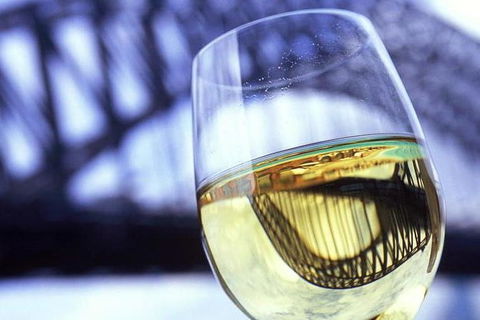 Water Limousines Sparking Wine Sunset Cruise Sydney Harbour - Accommodation 4U 0