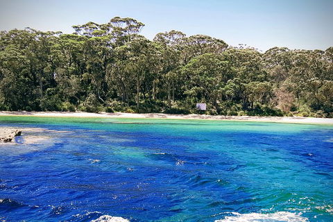 Jervis Bay Passage Tour - Accommodation 4U 1