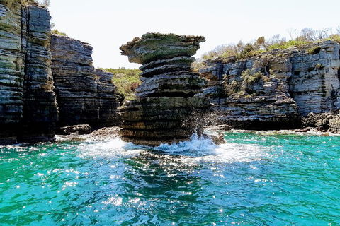Jervis Bay Passage Tour - Accommodation 4U 15