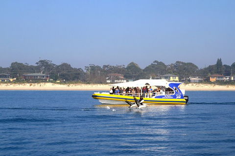 Jervis Bay Passage Tour - Accommodation 4U 16