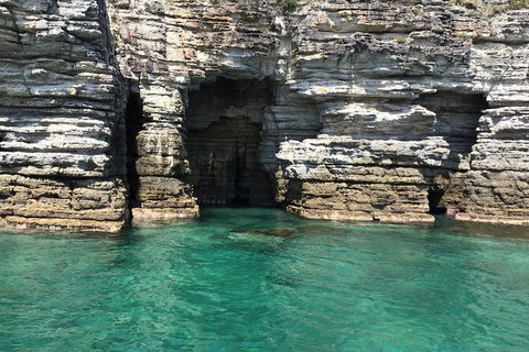 Jervis Bay Passage Tour - Accommodation 4U 13