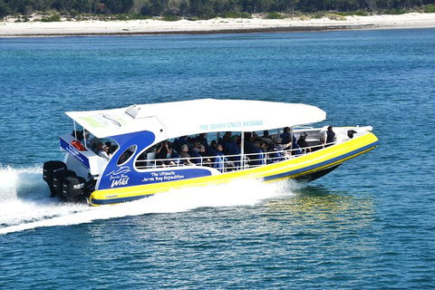 Jervis Bay Passage Tour - Accommodation 4U 11