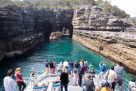 Jervis Bay Passage Tour - Accommodation 4U 3