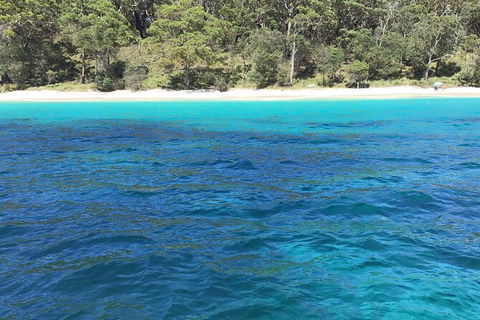 Jervis Bay Passage Tour - Accommodation 4U 5