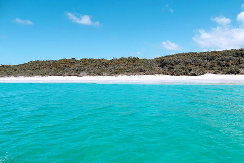 Jervis Bay Passage Tour - Accommodation 4U 10