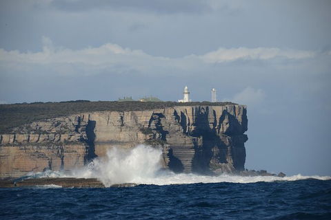 Jervis Bay Passage Tour - Accommodation 4U 8