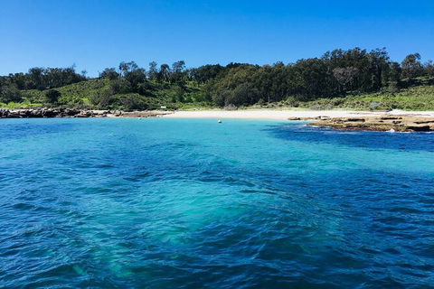 Jervis Bay Passage Tour - Accommodation 4U 2