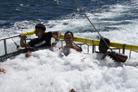 Jervis Bay Boom Netting And Dolphins Tour - Accommodation 4U 9