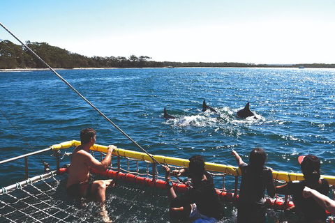 Jervis Bay Boom Netting And Dolphins Tour - Accommodation 4U 2