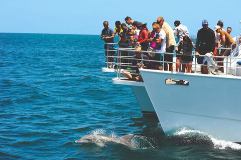 Jervis Bay Boom Netting And Dolphins Tour - Accommodation 4U 10