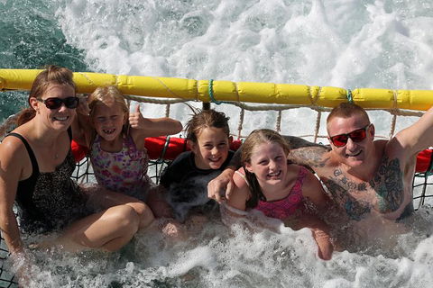 Jervis Bay Boom Netting And Dolphins Tour - Accommodation 4U 11
